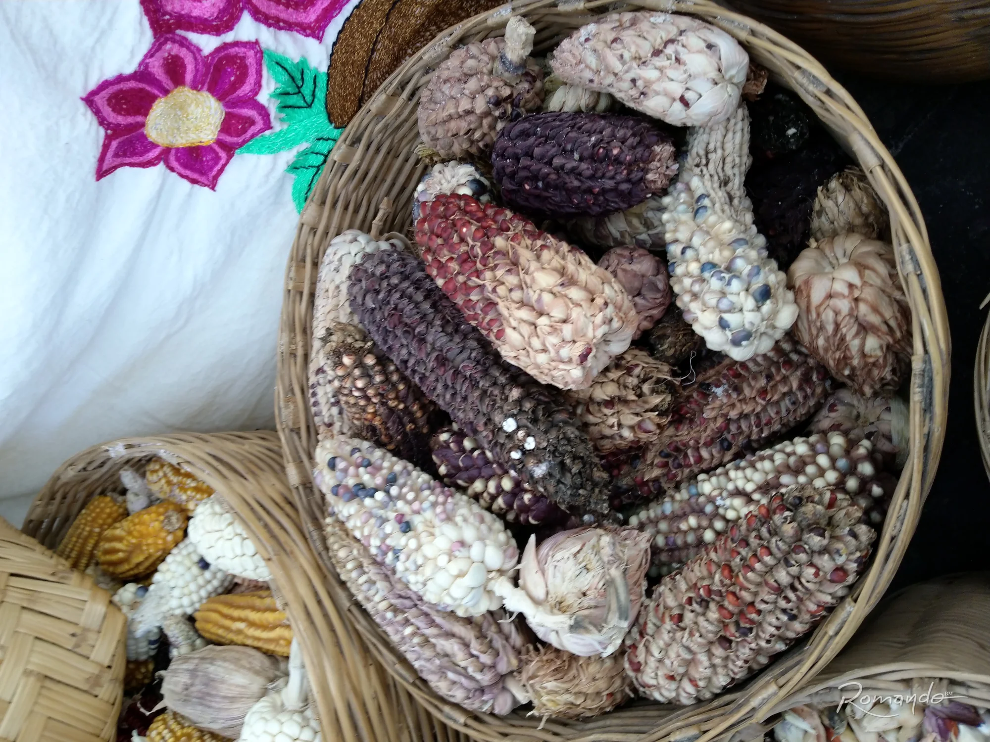 Maizajo de colores