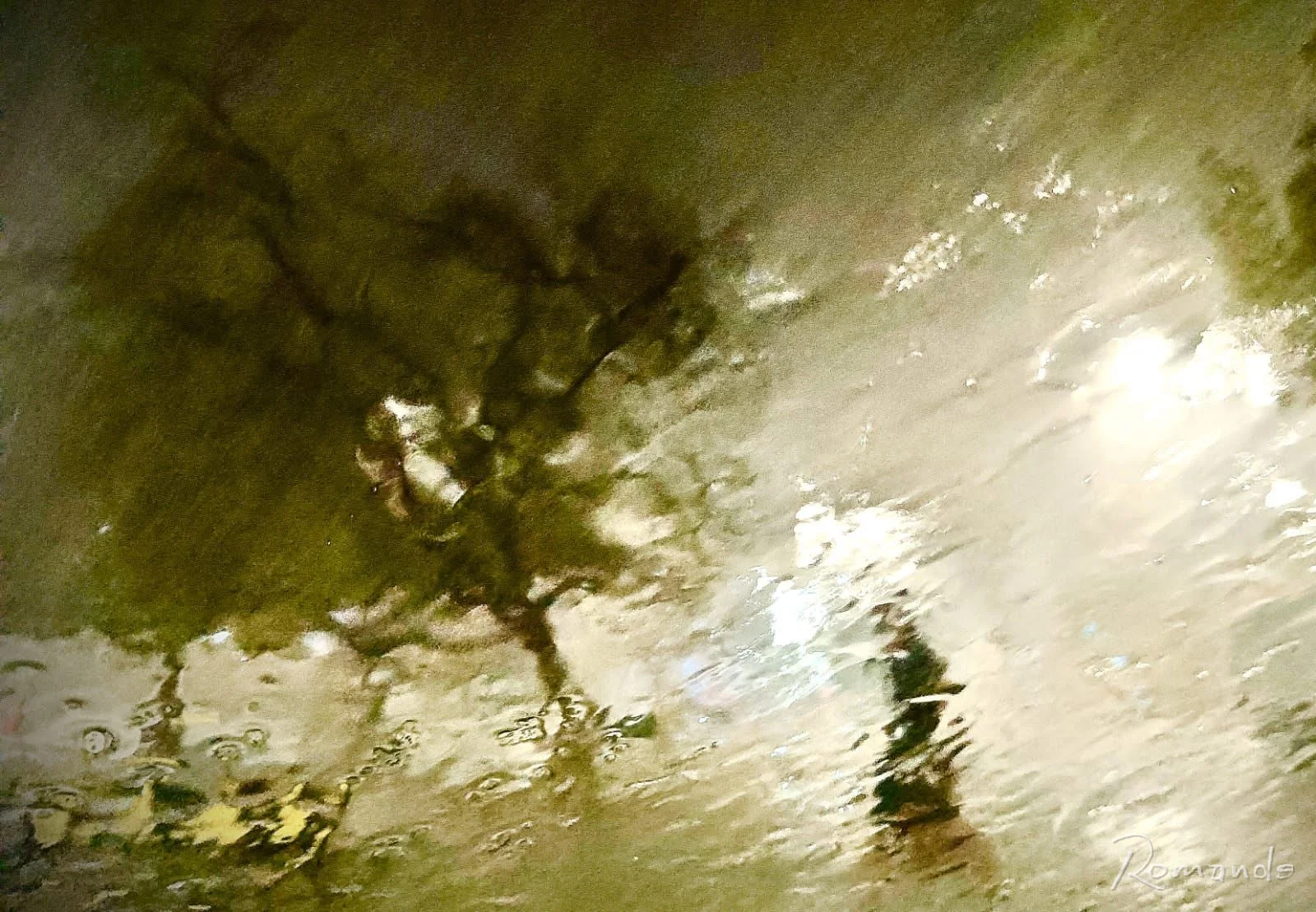 Lluvia en Parque Borunda