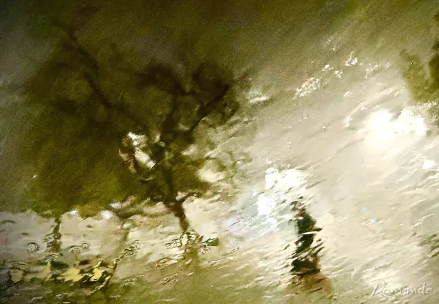 Lluvia en Parque Borunda
